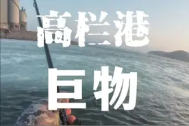 珠海高栏港电厂出水口巨物横行，当时我以为是石斑进结构了，后来仔细回味，根本没进结构，中鱼后，人家就是摆了几下头，扭两下屁股游了游，然后就打桩不动了，硬拉都不搭理你，给我罚站7分钟😂有懂哥吗？分析下，这鱼得多大？#路亚 #高栏港路亚 #原来钓鱼才是抖音运动顶流 #内容启发搜索视频封面
