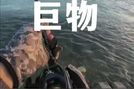 珠海高栏港电厂出水口巨物横行，当时我以为是石斑进结构了，后来仔细回味，根本没进结构，中鱼后，人家就是摆了几下头，扭两下屁股游了游，然后就打桩不动了，硬拉都不搭理你，给我罚站7分钟😂有懂哥吗？分析下，这鱼得多大？#路亚 #高栏港路亚 #原来钓鱼才是抖音运动顶流 #内容启发搜索视频封面