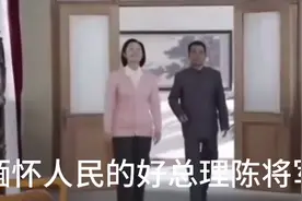 回忆影视人民的好总理。陈将军。我们泪流满面。请关注视频封面