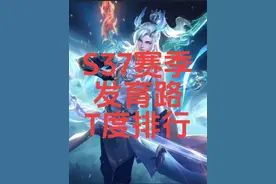 发育路最权威t度排行#王者