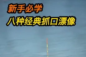 八种经典抓口漂像，新手必学#钓鱼抓口 #浮漂 #钓鱼技巧 #钓鱼人 #dou是钓鱼人 @DOU+小助手视频封面