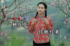 #经典老歌 #云飞 #桃花红杏花白 #完整版视频封面