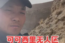 可可西里无人区捡到一只野生藏獒#荒野求生 #流浪 #可可西里无人区#流浪狗#流浪狗救助视频封面