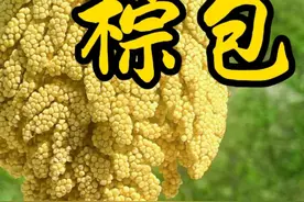 江西人都吃不来的江西美食，你吃过没。#棕包 #江西特产 #江西美食视频封面