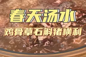 广东人春天煲什么汤水，这个鸡骨草石斛煲猪横利就很适合啦，从小喝到大#为你煲汤 #广东靓汤 #煲汤日记 #滋补养生视频封面