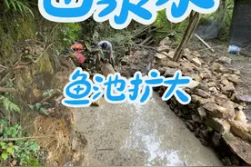 把石头墙拆了，扩大山泉水鱼池，#三农 #旧房改造 #农村生活 #山泉水 #泉水鱼视频封面