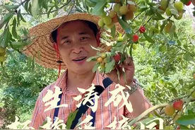 杨梅入园采摘（可品尝）仅需14.8，酸酸甜甜就是生活#旅行推荐官 #杨梅 #一起去春游 #内容启发搜索视频封面