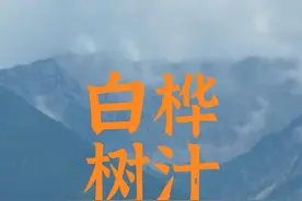 植物水-白桦树汁的秘密视频封面