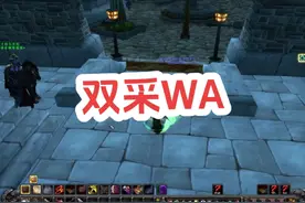 #魔兽世界 #暴雪游戏 #wa 魔兽插件-双采WA对国服仍然是好使的视频封面