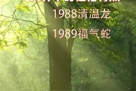 88年的龙89的蛇，性格命运有什么#易学智慧 #命理八字 #国学文化视频封面