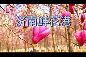 济南东郊露营野餐赏花好地方，鲜花港#一起去春游 #泉城自驾 #济南视频封面