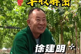 高盐高酸的土壤条件下，阳光玫瑰最终能实现丰收的秘密是什么呢？#生物活力栽培法 #阳光玫瑰葡萄 #乡村英才计划 #新农人计划2025视频封面