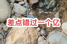 这块石头能值一个亿吗？#户外捡石 #以石会友 #奇石 #户外 #美石分享视频封面