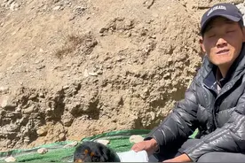 可可西里无人区捡到藏獒第三天，给它起了三个名字让它自己选，没想到最后竟然选了这个……#户外 #荒野求生 #流浪狗 #流浪狗救助#记录真实生活视频封面