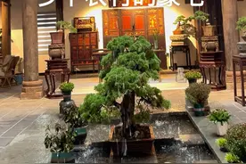 从城里出发，下乡去拜年，没想到农村的房子，竟然建造的这么豪华。#豪宅视频封面