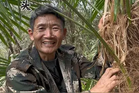 #记录真实生活 #大山里的味道  这棕头 也可以做菜炒来吃视频封面