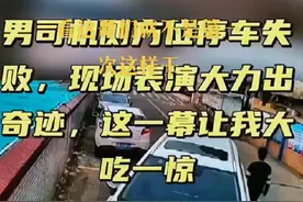 最标准的侧方位停车，有啥说啥，这哥们是真有力气#搞笑 #货车司机 #九州挂车 #司机 #路上趣事视频封面