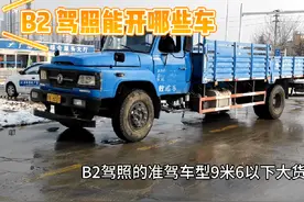 B2 驾照的准驾车型有哪些你了解吗？#考驾照 ##b2驾照视频封面