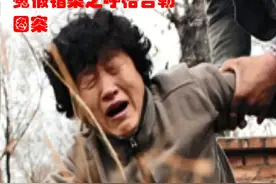 冤假错案之呼格吉勒图案 #上热门 #冤案 #呼格吉勒图视频封面