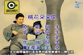 特别欢快的一首歌  阿牛的《桃花朵朵开》😊😊😊视频封面