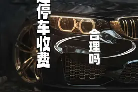 公共资源收停车费，真的合理吗？ #路边停车收费 #智慧停车视频封面
