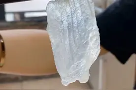 再也不怕有寄生虫啦！超低温速冻技术来拯救广东人民的胃！#我的家乡我建设#顺德鱼生#2023中国农民丰收节广东省主会场#dou有丰收视频封面