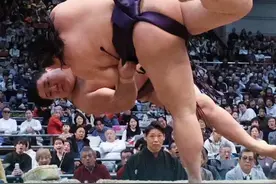 大相扑 三月大阪场所第12日 #相扑视频封面