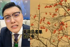 萝莉岛名单的公布视频封面