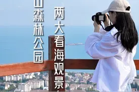荡着秋千看海是谁羡慕了我不说视频封面