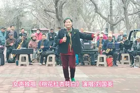 女声独唱《桃花红杏花白》演唱:刘国英 视频录制:开心嫂视频封面