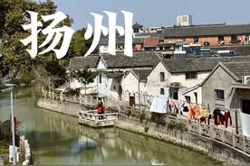 烟花三月下扬州，仅相隔一周树上的花都竞相开放，那就再去一次吧视频封面