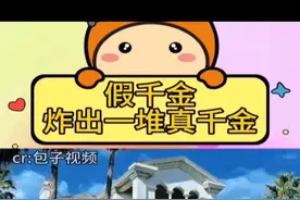 这真是小说照进现实了 #假千金 #打假 #檀宫视频封面
