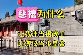 慈禧为何让载沣当摄政王、让溥仪当皇帝？视频封面