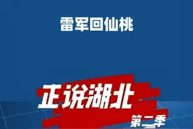 雷军回仙桃了！五千万的大项目！#雷军 #仙桃 #湖北 #湖北dou知道 #大v说视频封面
