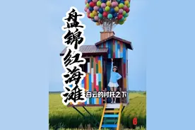 来盘锦怎么玩度过快乐小 假期＃红海滩晚霞音乐季#盘锦红海滩音乐节太city了#一起来红海滩音乐节去班味#金志文空降红海滩#红海滩音乐节打卡攻略视频封面