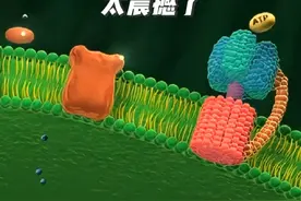动画演示光合作用的过程#高中生物 #光合作用 #3d动画演示视频封面