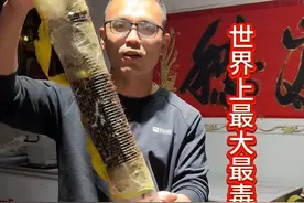 活蜂泡酒#杀人蜂视频封面