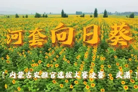巴彦淖尔，古郡五原，河套平原，塞北粮仓视频封面