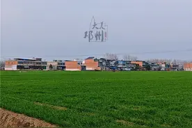当河南人回老家不小心说了普通话#看一遍笑一遍 #河南方言 #河南话 #农村生活 #田间地头走一走视频封面