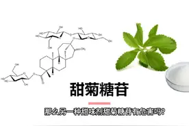 全面了解甜味剂甜菊糖苷，是减糖神器还是健康杀手？图片