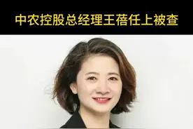 中农控股总经理王蓓任上被查视频封面