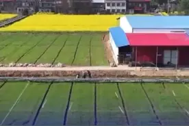 各地抢抓农时 有序推进春耕春管#春耕#春管视频封面