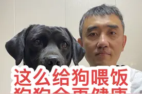 狗狗一天吃几顿饭才对？这么喂狗，狗狗才更健康！ 狗狗这么喂会更健康。成年犬一周饿一天疾病都靠边！#新手养狗 #狗狗的心思都写在脸上了 #科学养宠攻略 #我和狗狗的故事 #狗狗视频封面