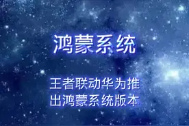 #王者荣耀 #王者鸿蒙系统 宁愿给华为交税，也不给苹果交税视频封面
