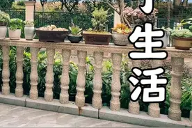 多肉成群的院子生活，200m²半包围式花园 #重庆楼市 #重庆房产视频封面
