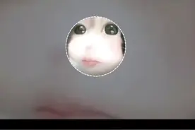 【《少萝の小曲》《魔怔の小曲》