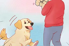 女子停车喊大姨把狗牵走 多次商量无果后放出自家金毛#画一个故事 #遛狗不牵绳视频封面