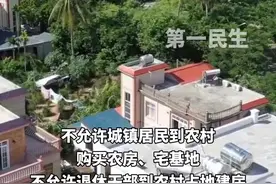 2025年中央一号文件发布，明确划定红线与禁区，不允许城镇居民到农村购买农房、宅基地，不允许退休干部到农村占地建房。视频封面