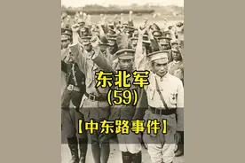 张司令为何会准备武力收回中东路 #我的观影报告 #民国历史