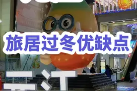 元江旅居过冬的优缺点分析介绍 #元江旅居 #元江旅居避寒视频封面